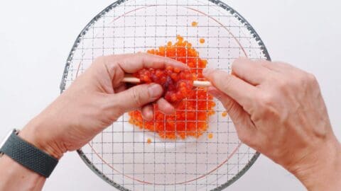 Separating salmon roe from skein using chopsticks.