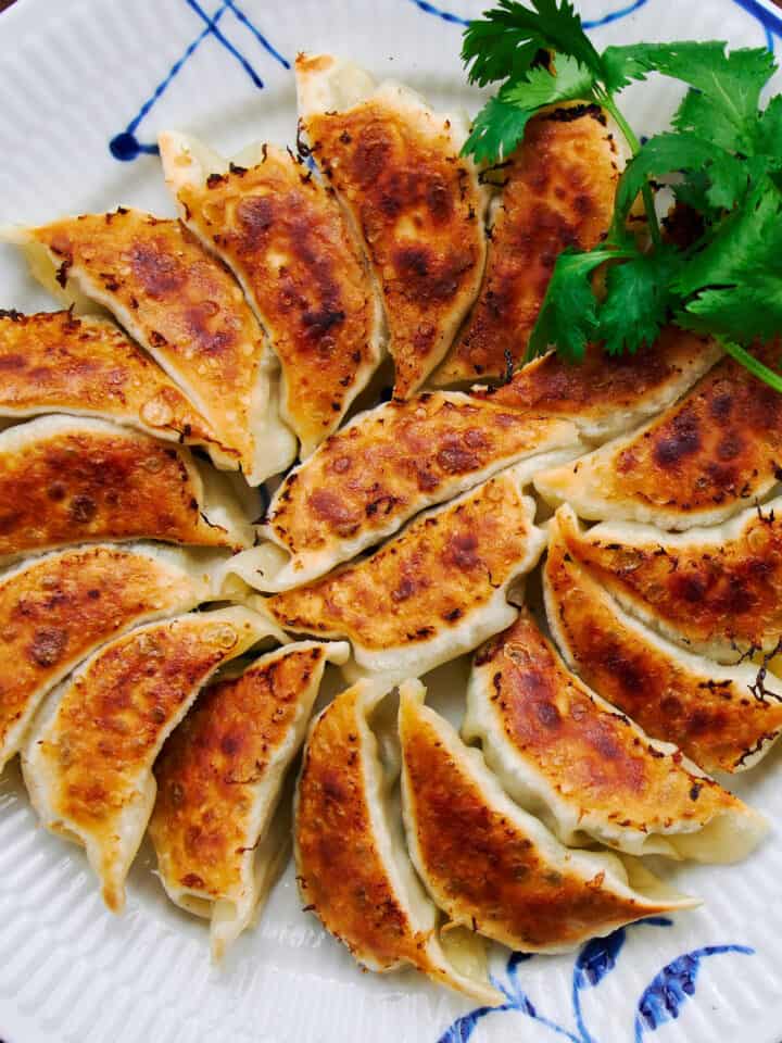 These Japanese gyoza highlight the tantalizing interplay between the crisp pan-fried wrapper and blissfully juicy pork and cabbage filling.