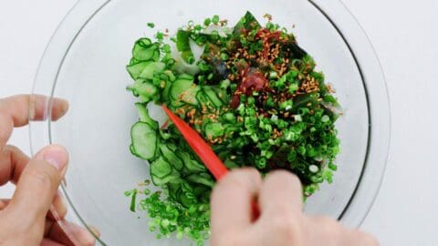 Mixing seaweed salad together with dressing.